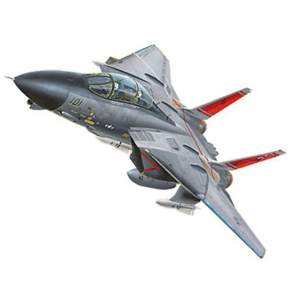    F-14 Tomcat (1/100)