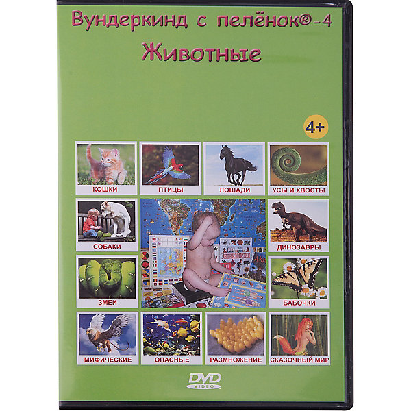   DVD-    