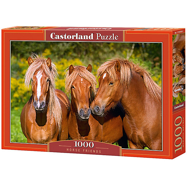   Castorland 