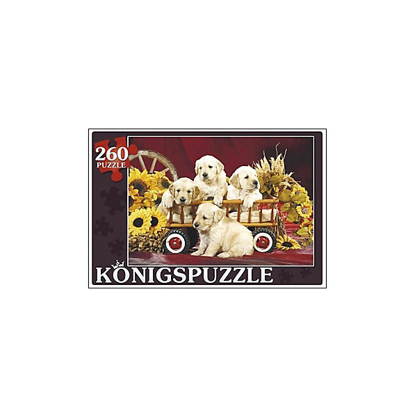   Konigspuzzle 